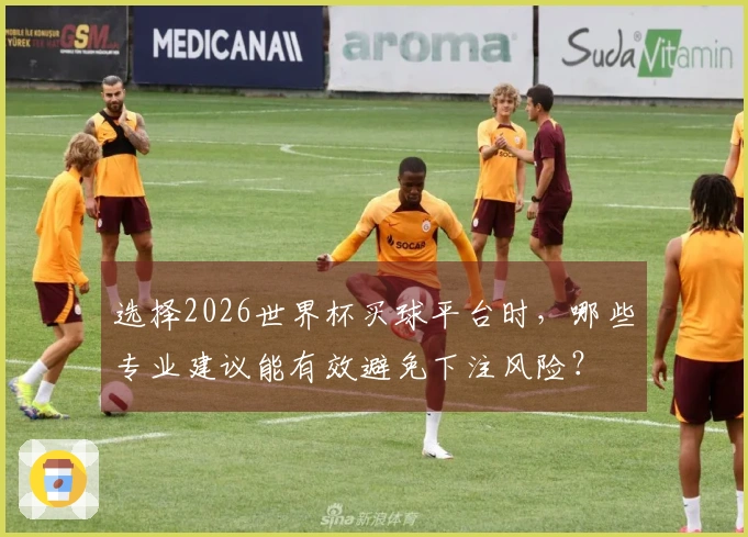 选择2026世界杯买球平台时，哪些专业建议能有效避免下注风险？
