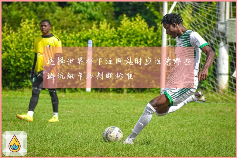 选择世界杯下注网站时应注意哪些避坑细节和判断标准