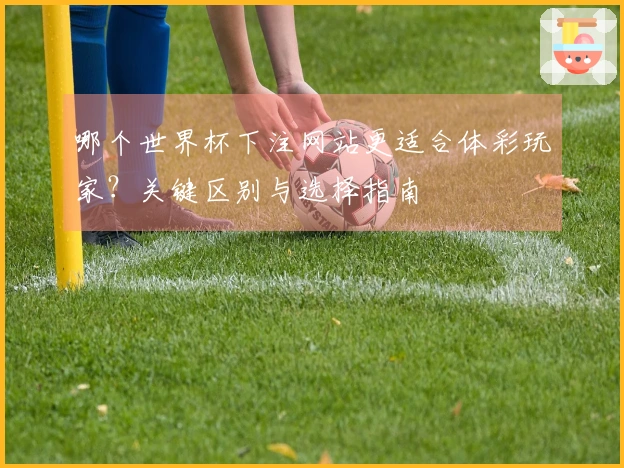 哪个世界杯下注网站更适合体彩玩家?关键区别与选择指南