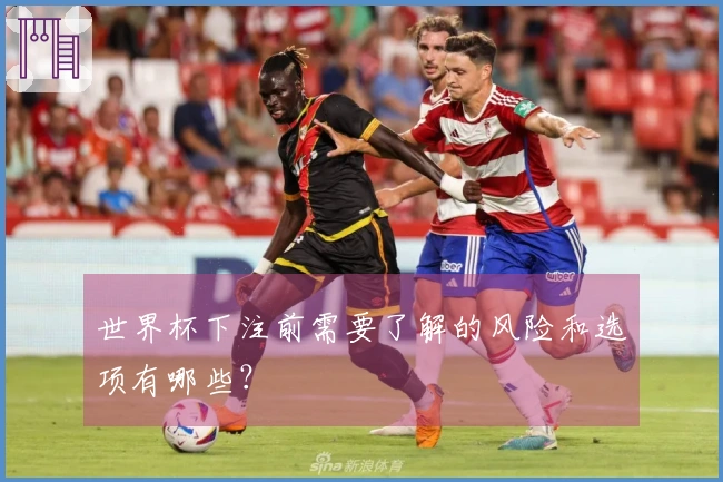 世界杯下注前需要了解的风险和选项有哪些?