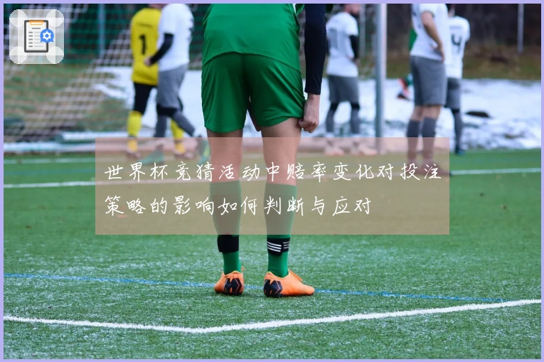 世界杯竞猜活动中赔率变化对投注策略的影响如何判断与应对