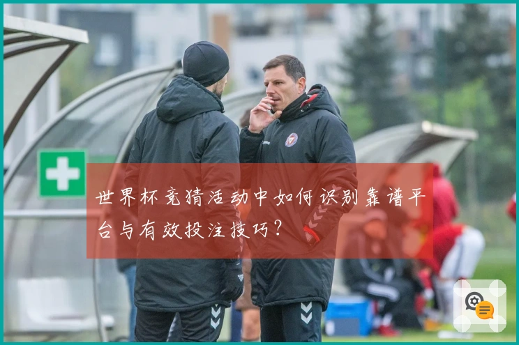 世界杯竞猜活动中如何识别靠谱平台与有效投注技巧？