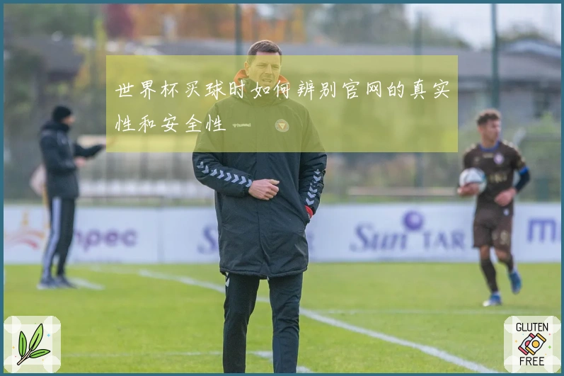 世界杯买球时如何辨别官网的真实性和安全性