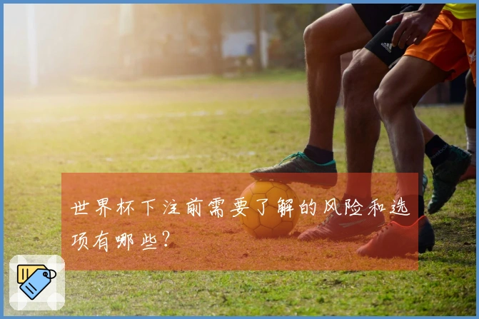 世界杯下注前需要了解的风险和选项有哪些？