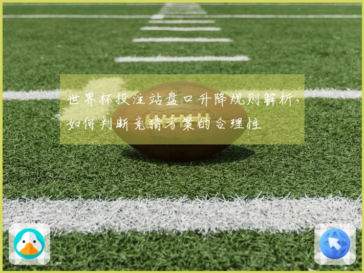世界杯投注站盘口升降规则解析,如何判断竞猜方案的合理性