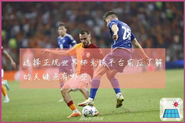 选择正规世界杯竞猜平台前应了解的关键点有哪些