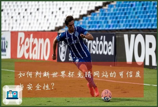如何判断世界杯竞猜网站的可信度与安全性?