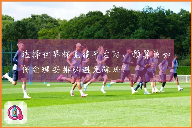 选择世界杯竞猜平台时,预算该如何合理安排以避免踩坑?