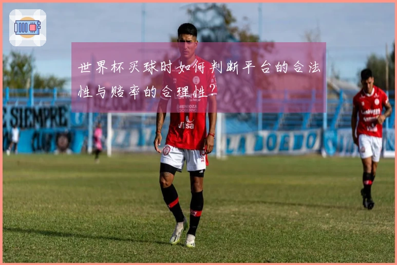 世界杯买球时如何判断平台的合法性与赔率的合理性？