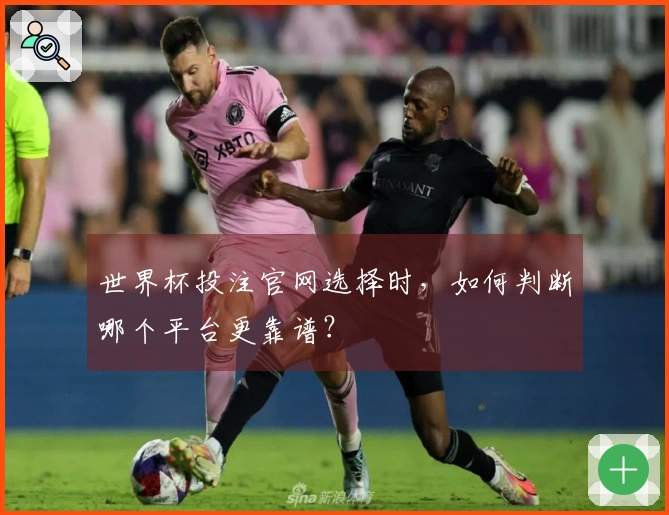 世界杯投注官网选择时,如何判断哪个平台更靠谱?