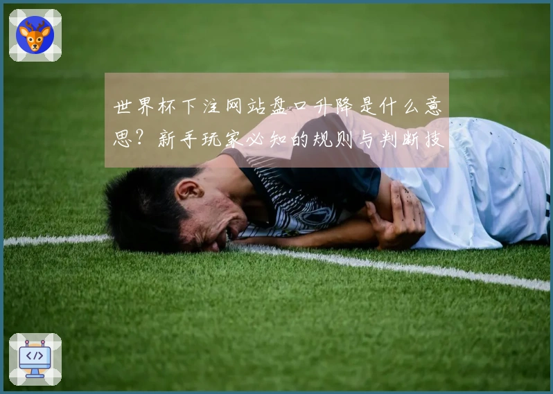 世界杯下注网站盘口升降是什么意思?新手玩家必知的规则与判断技巧