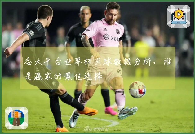各大平台世界杯买球数据分析，谁是赢家的最佳选择