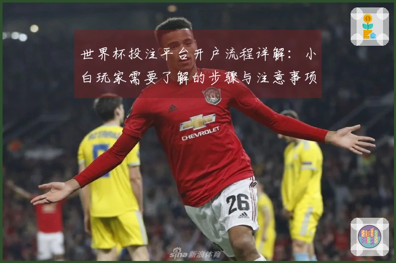 世界杯投注平台开户流程详解：小白玩家需要了解的步骤与注意事项