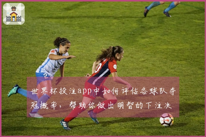 世界杯投注app中如何评估各球队夺冠概率,帮助你做出明智的下注决策