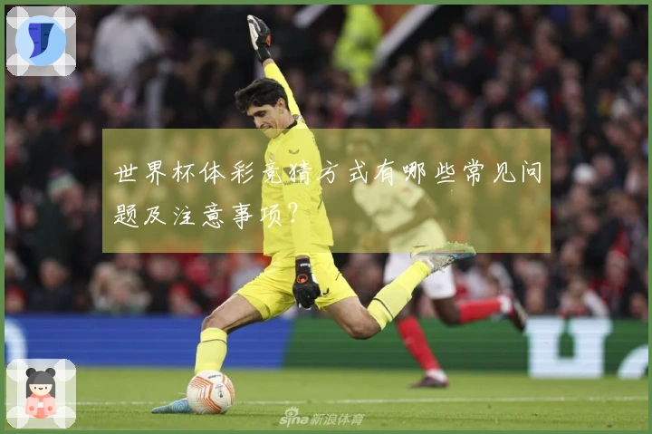 世界杯体彩竞猜方式有哪些常见问题及注意事项?