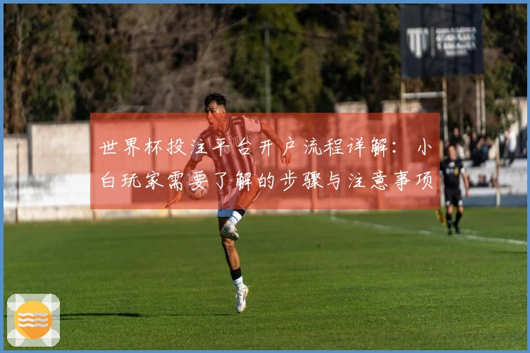 世界杯投注平台开户流程详解:小白玩家需要了解的步骤与注意事项