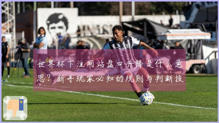世界杯下注网站盘口升降是什么意思？新手玩家必知的规则与判断技巧