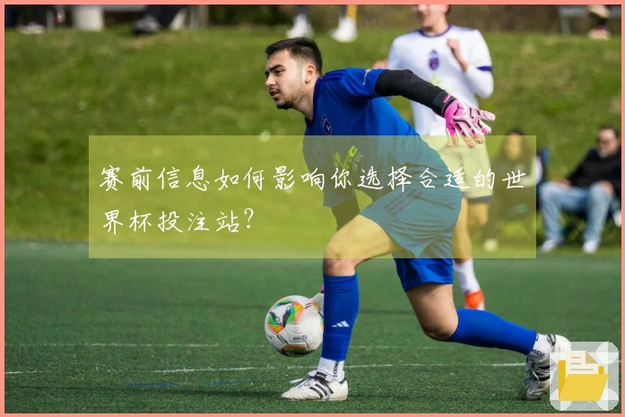 赛前信息如何影响你选择合适的世界杯投注站?