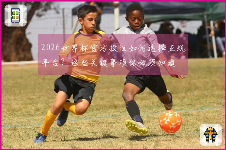 2026世界杯官方投注如何选择正规平台？这些关键事项你必须知道