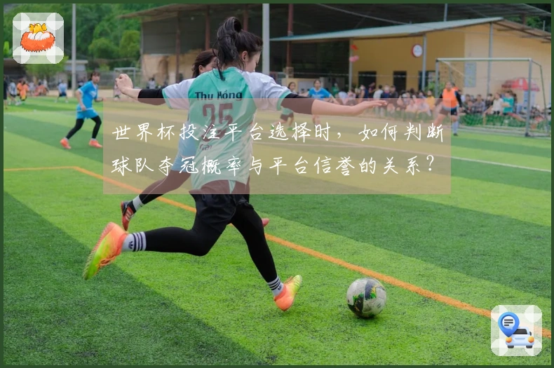 世界杯投注平台选择时,如何判断球队夺冠概率与平台信誉的关系?
