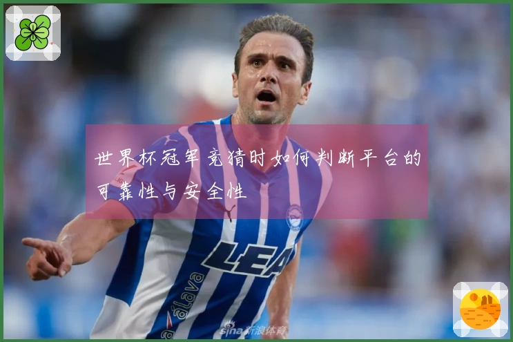 世界杯冠军竞猜时如何判断平台的可靠性与安全性