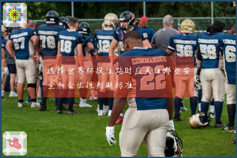 选择世界杯投注站时应关注哪些安全和合法性判断标准