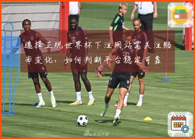 选择正规世界杯下注网站需关注赔率变化，如何判断平台稳定可靠