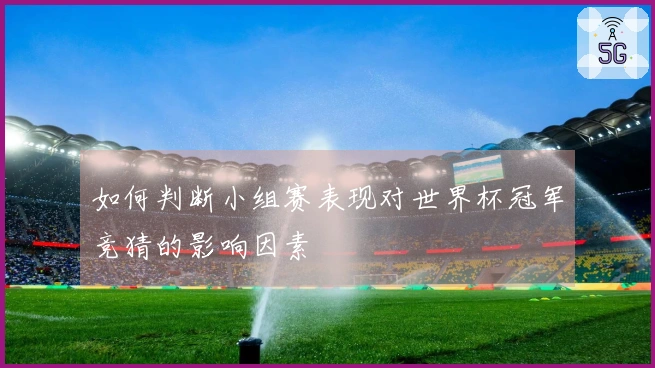 如何判断小组赛表现对世界杯冠军竞猜的影响因素