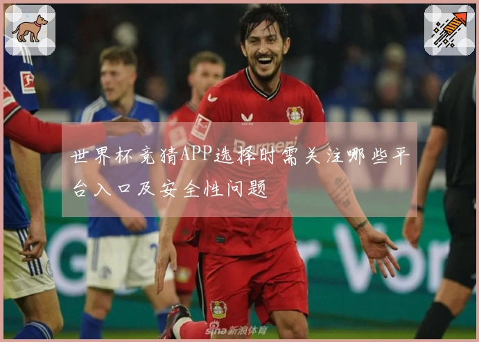 世界杯竞猜APP选择时需关注哪些平台入口及安全性问题
