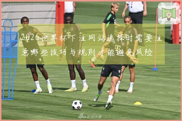 2026世界杯下注网站选择时需要注意哪些技巧与规则才能避免风险