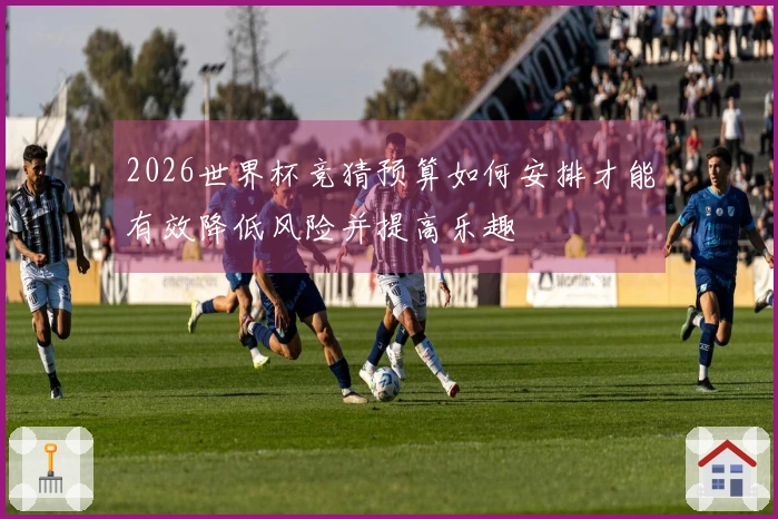2026世界杯竞猜预算如何安排才能有效降低风险并提高乐趣