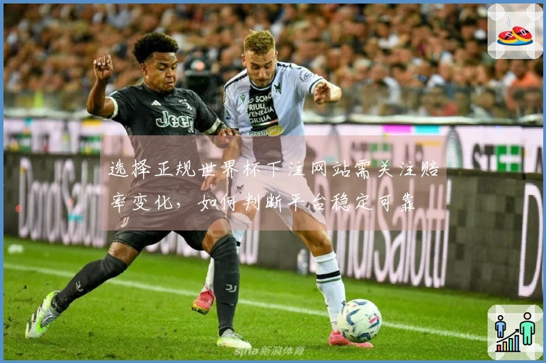 选择正规世界杯下注网站需关注赔率变化，如何判断平台稳定可靠