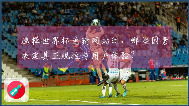 选择世界杯竞猜网站时,哪些因素决定其正规性与用户体验?